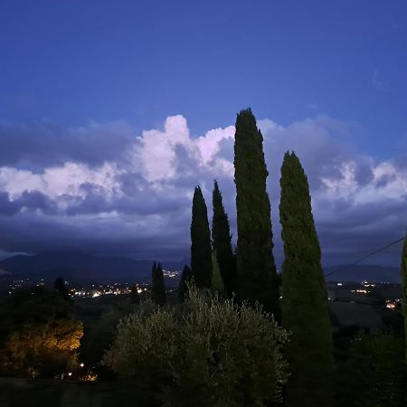 Villa The Green Door - Casa Vacanze Vicino A Roma Fonte Nuova Екстериор снимка